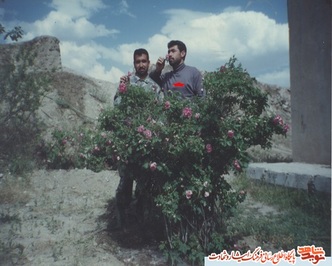 تصاویر شهید رحمتی