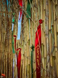 تصاویری از محل برگزاری دومین کنگره ملی بزرگداشت سه هزار شهید استان سمنان