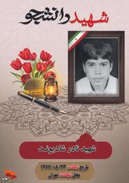 شهید «نادر شادیوند» فرزند اسماعیل بیستم آبان‌ ۱۳۴۹ در شهرستان دره شهر در روستای شیخ مکان دیده به جهان گشود،

 تا مقطع فوق دیپلم تحصیل کرد و بعد از آن به شغل معلمی مشغول شد، 

جهت دفاع از کیان مملکت خویش به عنوان بسیجی وارد سپاه شد و در لشکر ۱۱ حضرت امیر (ع) مشغول به خدمت شد. 

وی بیست و سوم آبان ۱۳۶۶ بر اثر اصابت تیر مستقیم دشمن به ناحیه دست و پا‌ها در منطقه مرزی مهران به درجه رفیع شهادت نایل آمد. 

مزار این شهید گرانقدر در روستای زادگاهش قرار دارد.