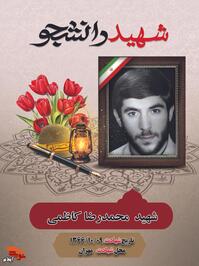 دانشجوی شهید «محمدرضا کاظمی» فرزند محمد شانزدهم اردیبهشت سال ۱۳۴۴ در روستای چم نمشت از توابع شهرستان دره شهر دیده به جهان گشود. 

وی که دانشجویی رشته پرورشی از مرکز تربیت معلم شهید بهشتی تهران بود با آغاز جنگ تحمیلی رژیم بعث عراق به کشور عزیزمان در لبیک گویی به فرمان حضرت امام خمینی (ره) به جبهه‌های نبرد حق علیه باطل شتافت و به عنوان رزمنده بسیجی به جمع دلاورمردان لشکر سرافراز امیرالمؤمنین (ع) سپاه پاسداران انقلاب اسلامی پیوست. 

سرانجام نهم دی ماه ۱۳۶۶ بر اثر اصابت ترکش خمپاره به ناحیه پشت در منطقه عملیاتی مهران به فیض شهادت نائل آمد. 

مزار این شهید گرانقدر در گلزار شهدای کوی مطهری شهرستان دره شهر قرار دارد.
