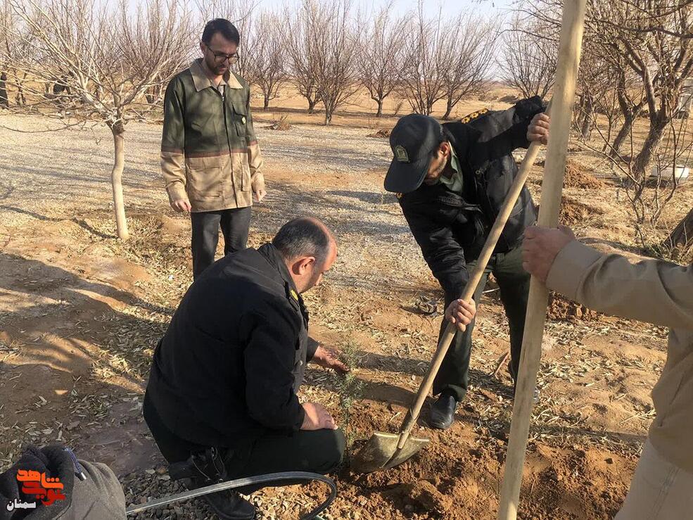غرس نهال به یاد شهدا- سیزدهم دی‌ماه ۱۴۰۴ گلزار شهدای روستای استرخو از توابع شهرستان میامی