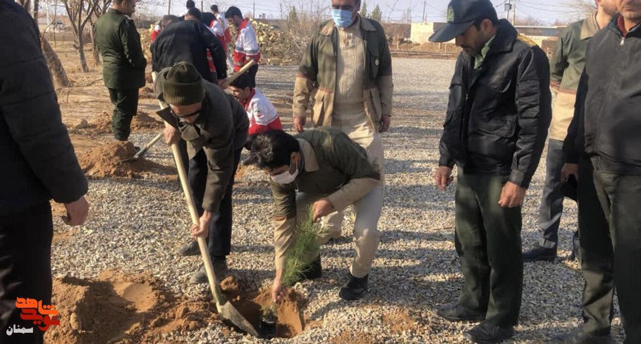غرس نهال به یاد شهدا- سیزدهم دی‌ماه ۱۴۰۴ گلزار شهدای روستای استرخو از توابع شهرستان میامی