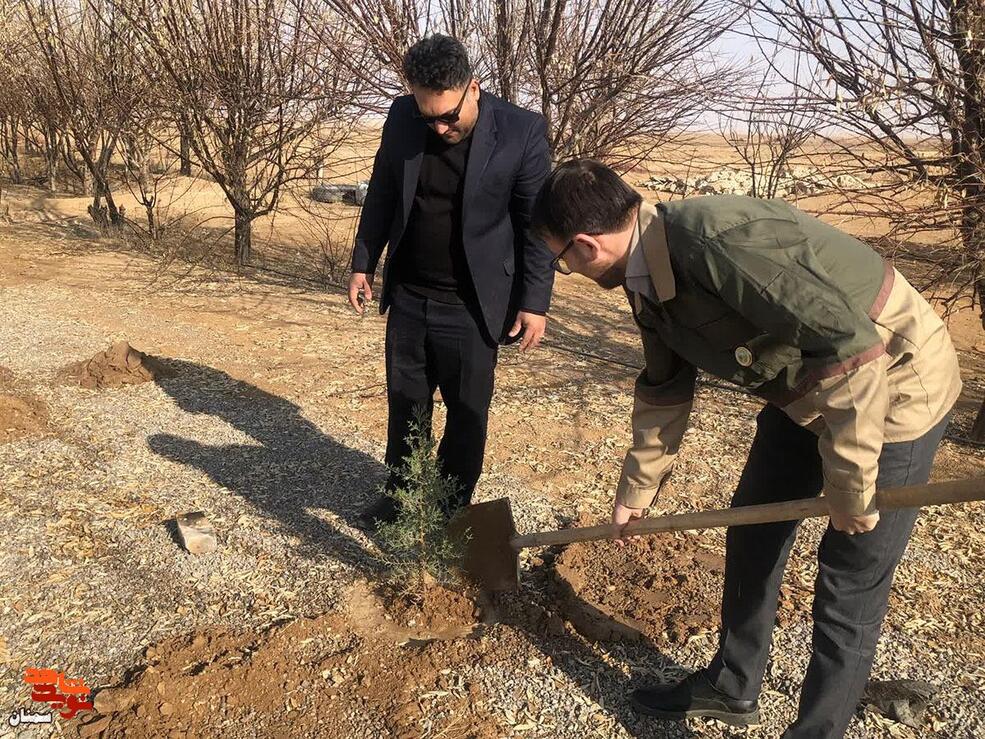 غرس نهال به یاد شهدا- سیزدهم دی‌ماه ۱۴۰۴ گلزار شهدای روستای استرخو از توابع شهرستان میامی