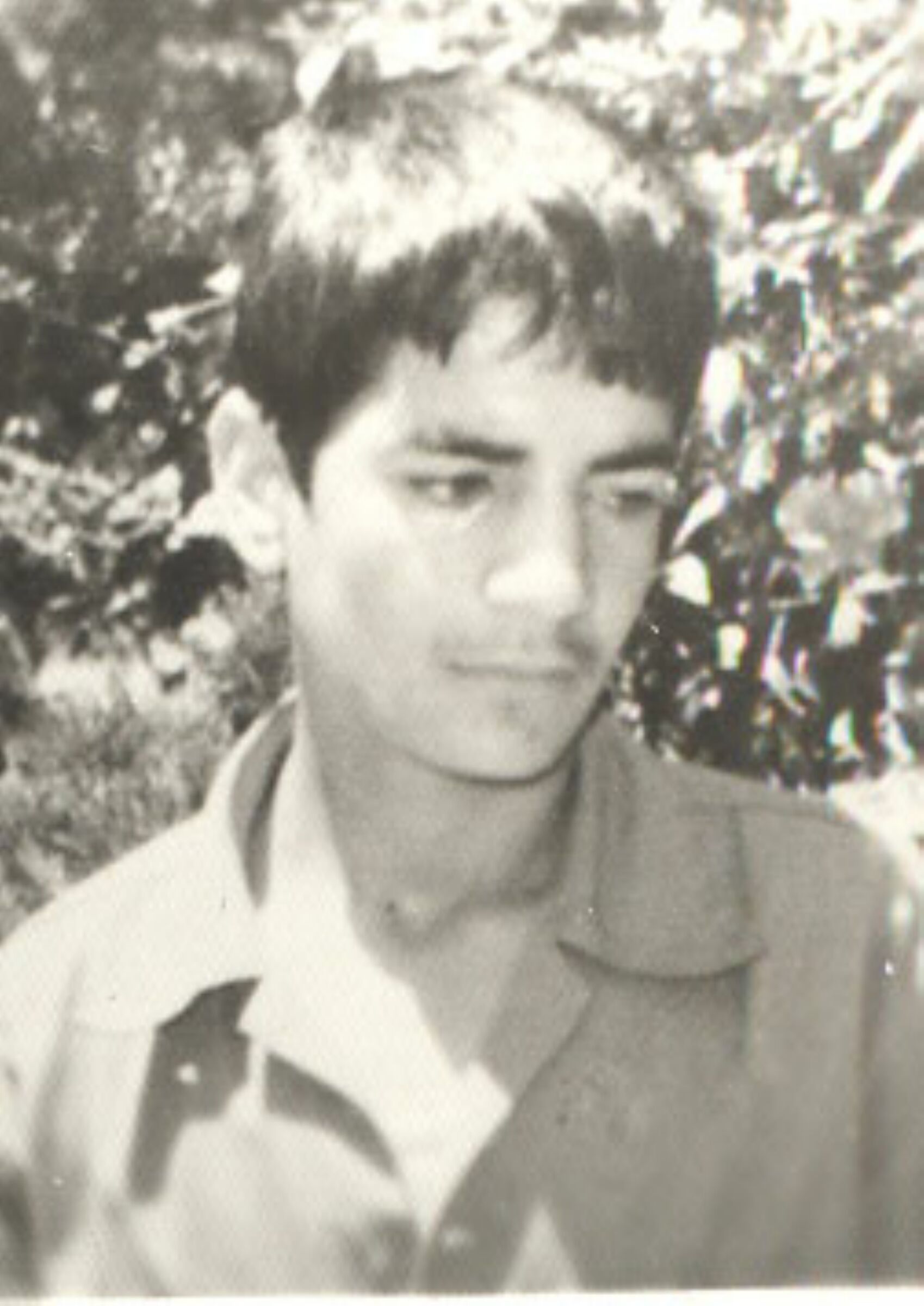 پرسنلی
