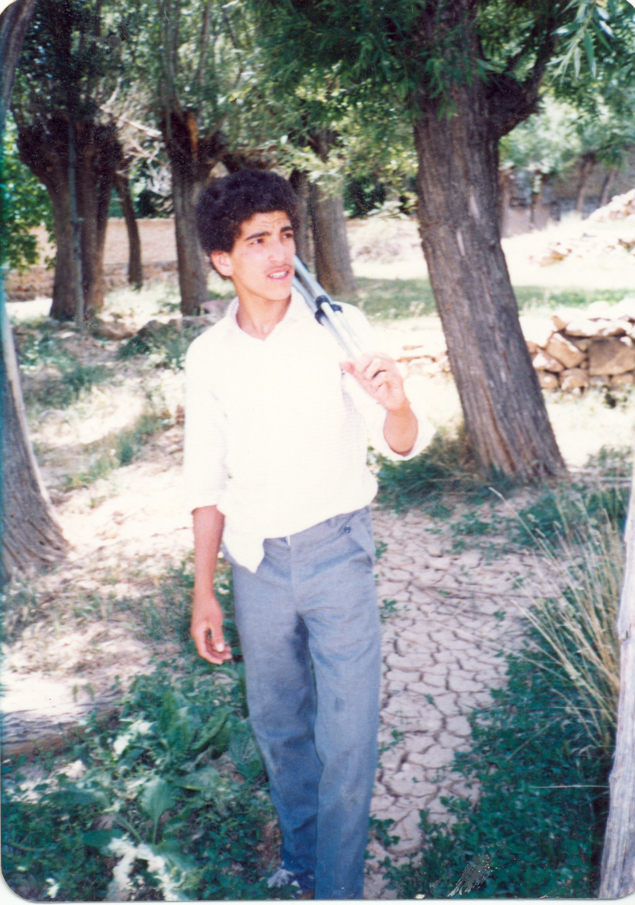 عکس