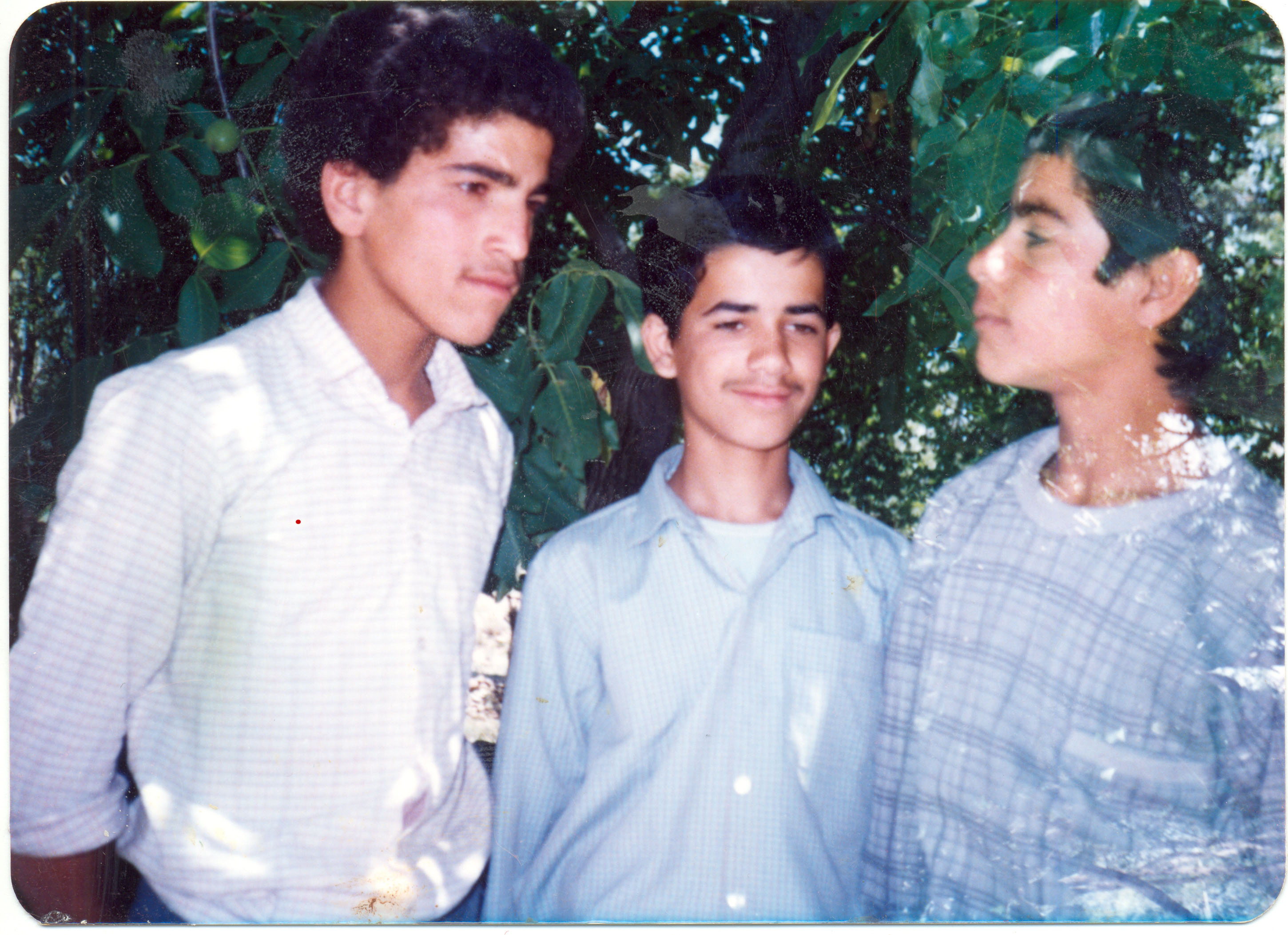 عکس
