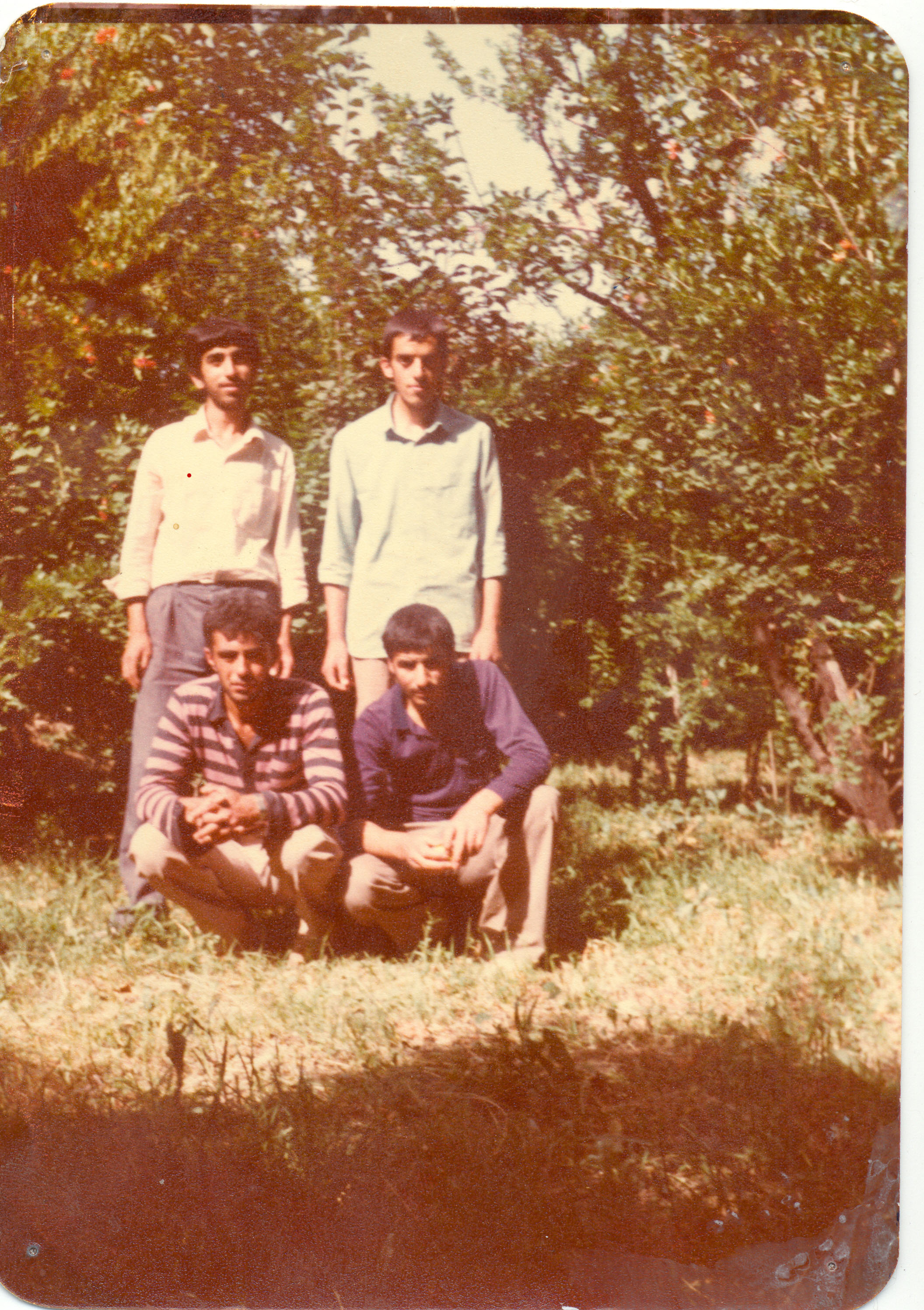 عکس
