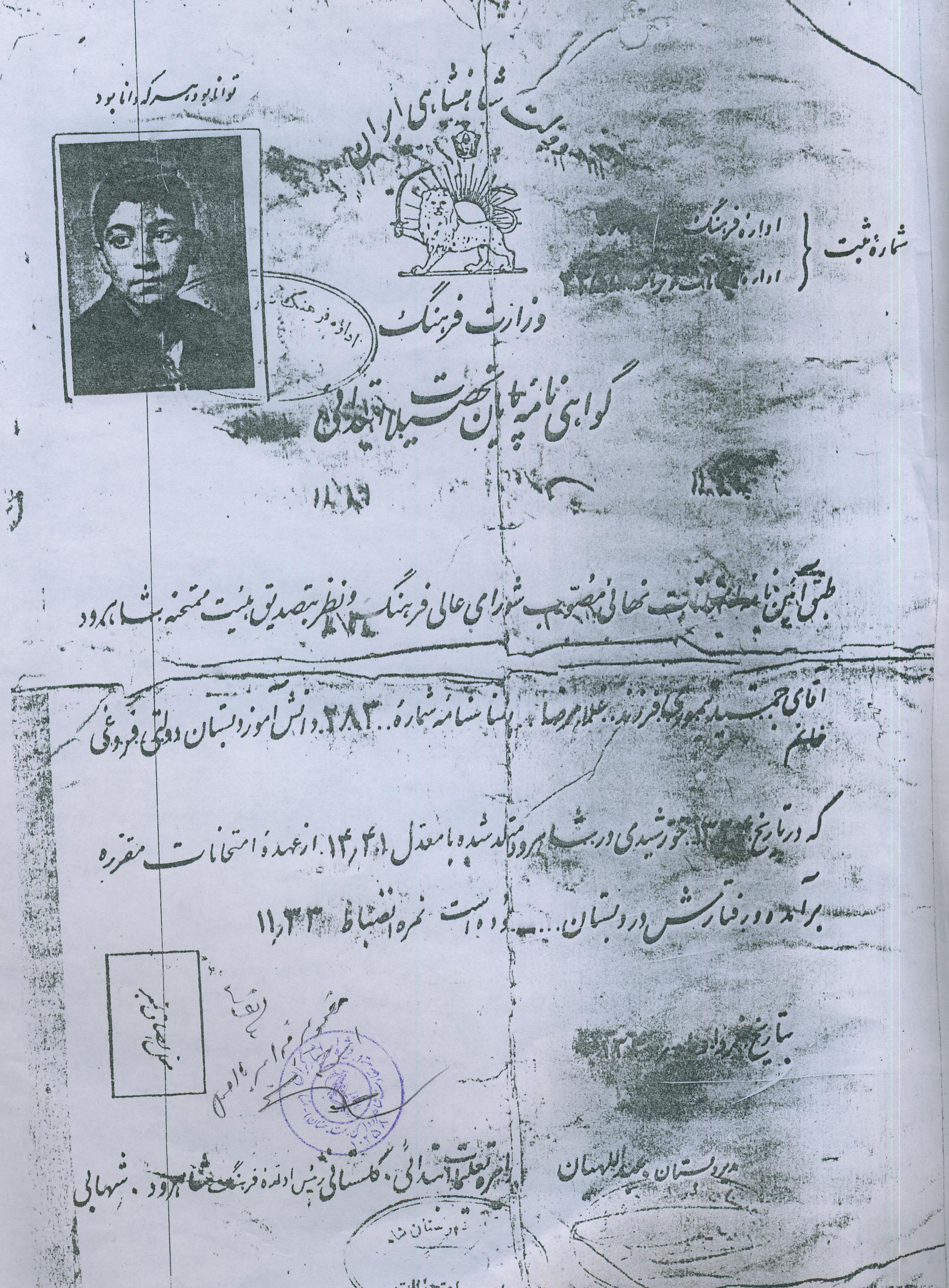 اسناد
