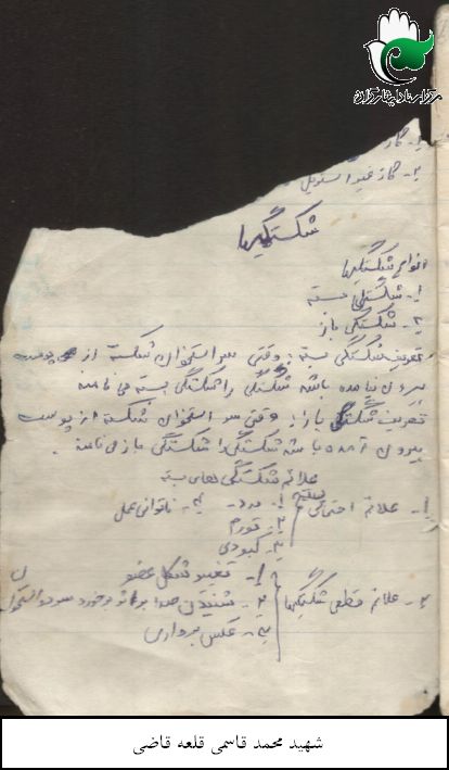 دست نوشته 