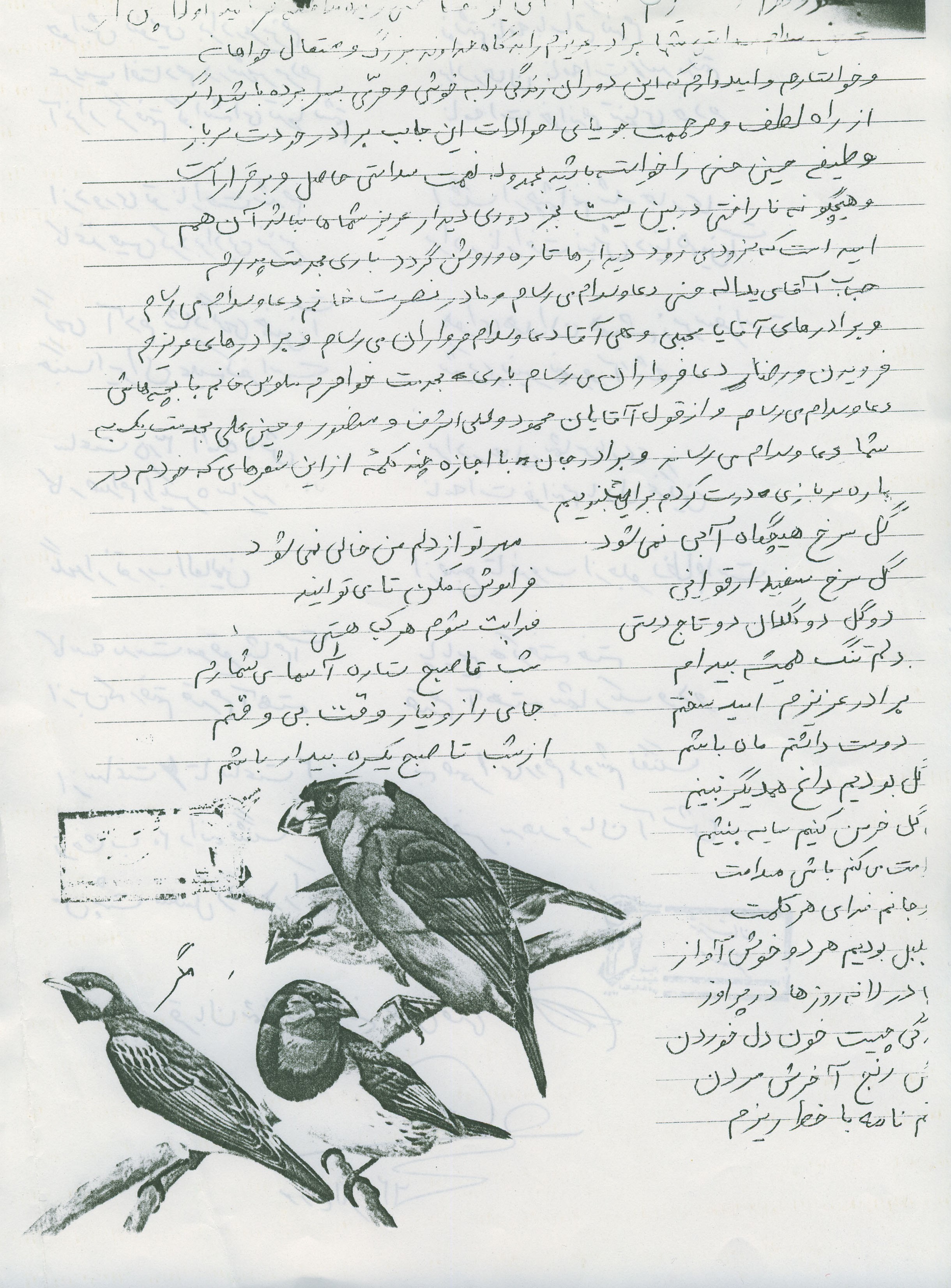عکس