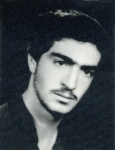  تیمور فرجی دویران