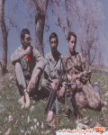 عکس