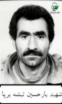 شهید یارحسین تیشه برپا