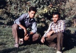 عکس