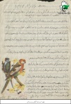 نامه