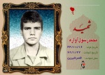 آواره ­مهرآبادي، محمدرسول
