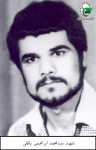 ابراهیمی بافقی سیدمحمد