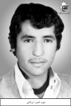 ابوطالبي، محمود