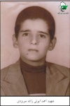 ابويي­زاده­سريزدي، احمد