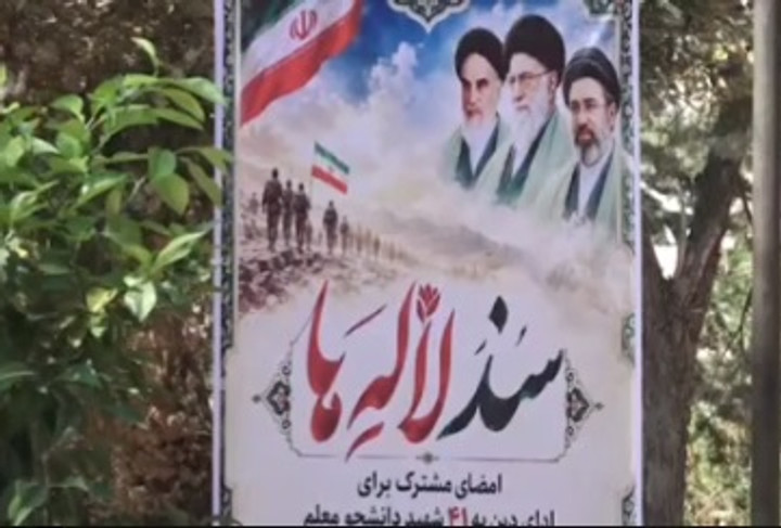 رونمایی از طرح تدوین «سند لاله‌ها»